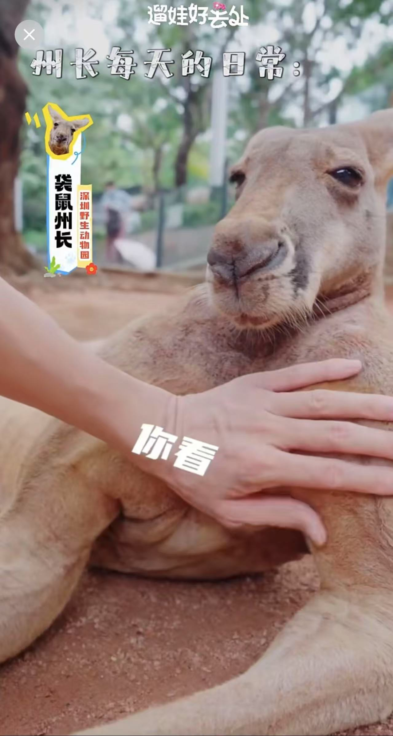 1744991300153251.png