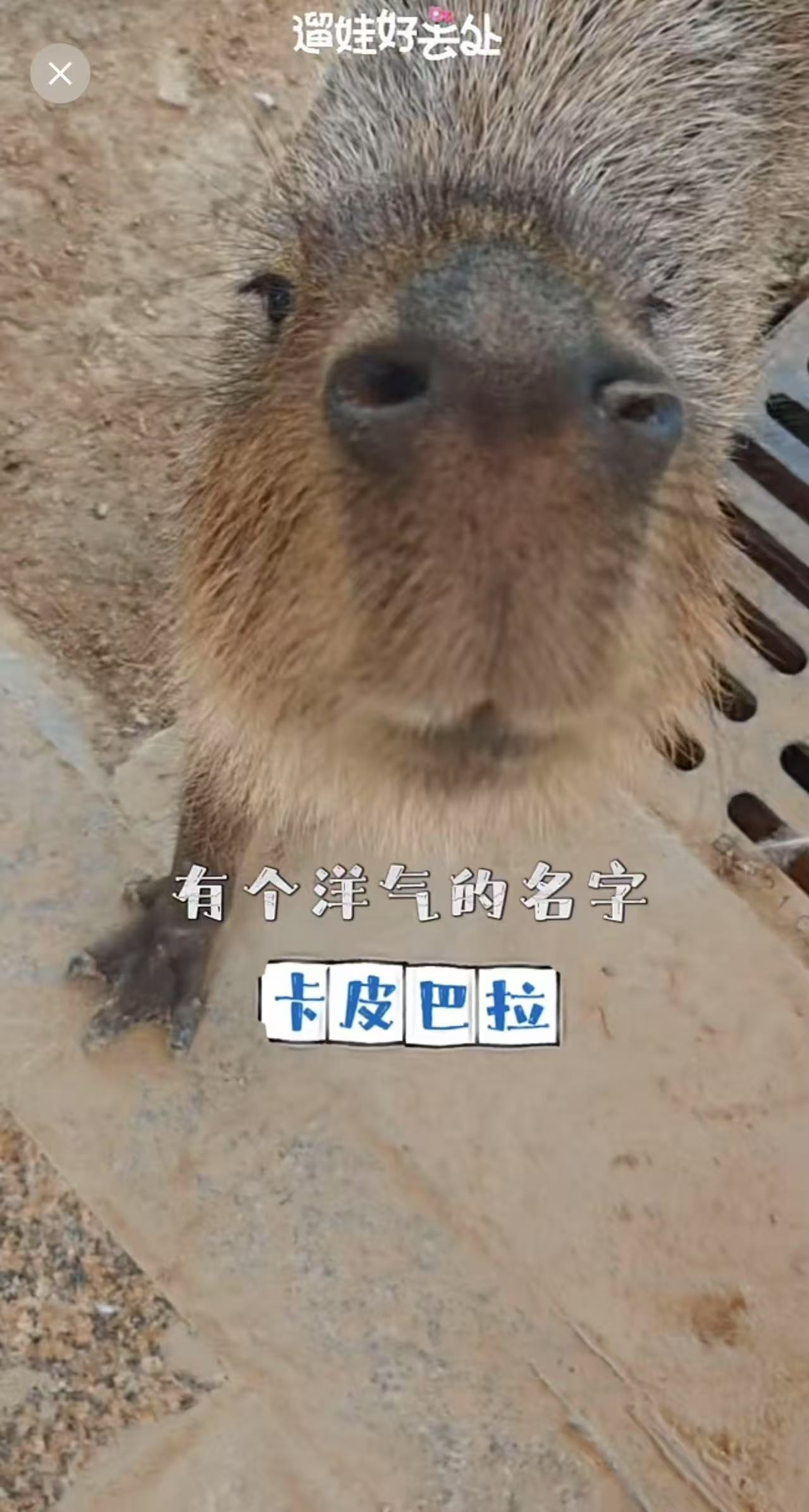 1744991293253898.png